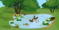 Ecosystem of pond with different animals birds, insects, reptiles, fishes, amphibians in their natural habitat. Royalty Free Stock Photo